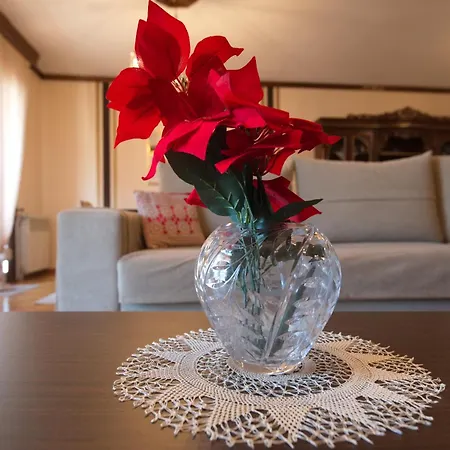 Appartamento Alexandra Welcome Maxi Place *