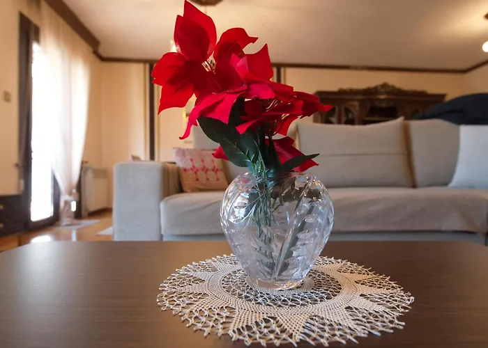 Apartment Alexandra Welcome Maxi Place *